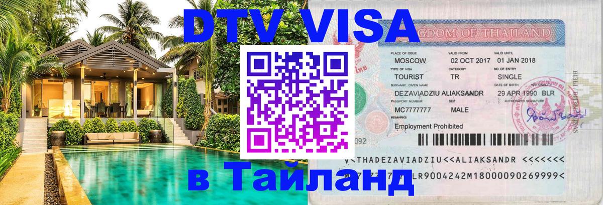 Сколько стоит DTV виза — актуальные цены, оформление даже без документов - Калининград 